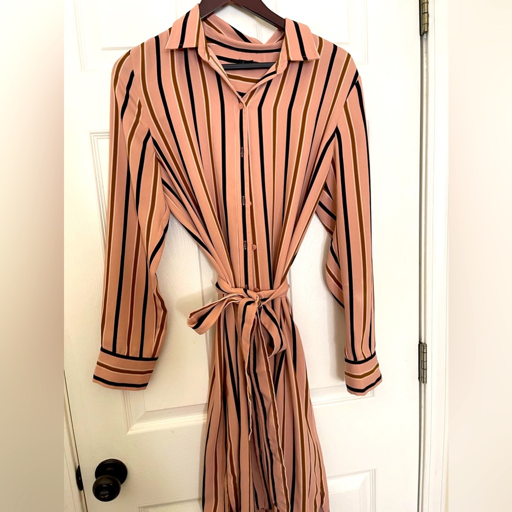 Anne Taylor Professional button up dress, mid length